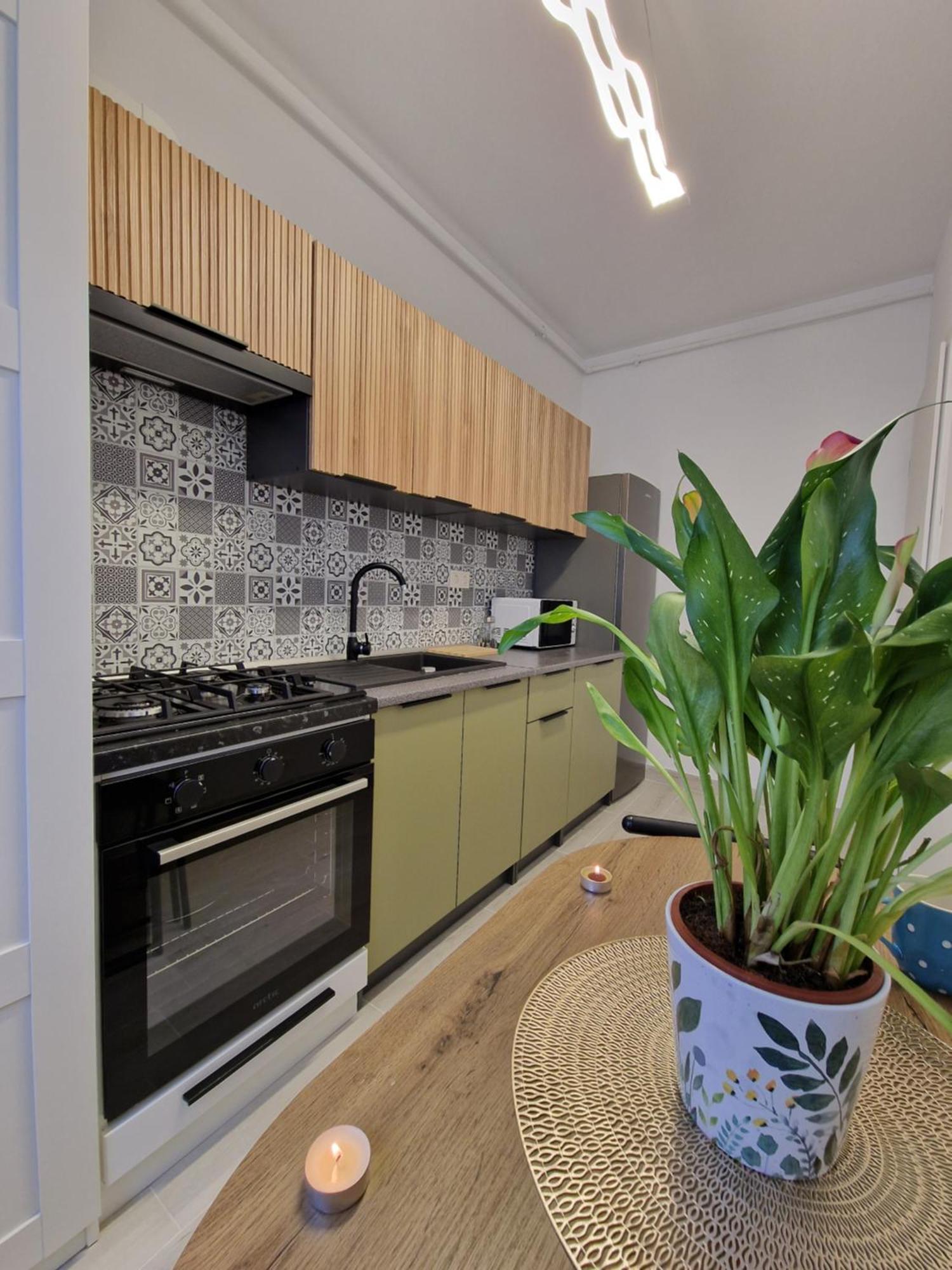 Roşu Studio&Garden! מראה חיצוני תמונה