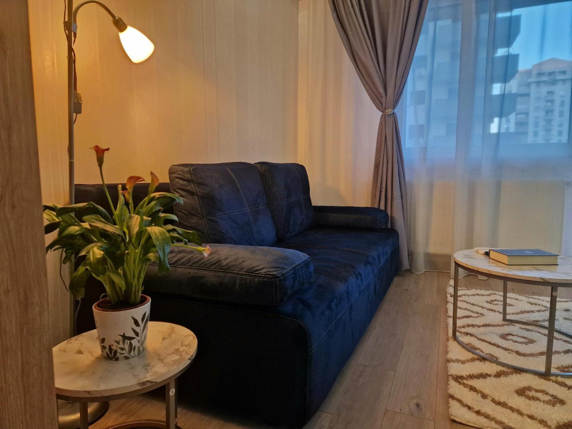 Roşu Studio&Garden! מראה חיצוני תמונה